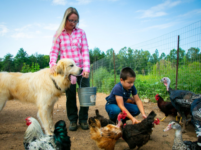 Woman holding bucket and petting large dog while boy feeds chickens and turkeys in fenced yard