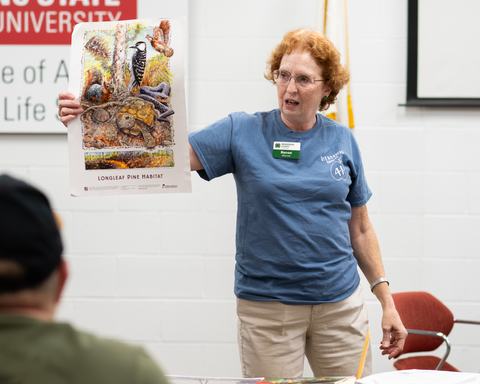 Woman holding poster labeled "LONGLEAF PINE HABITAT" while speaking in a classroom