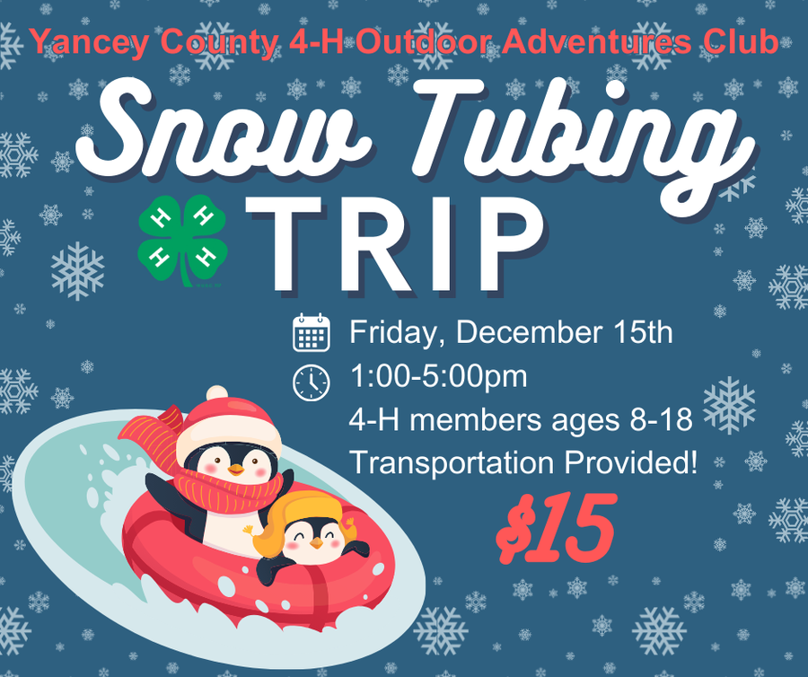 Snow tubing trip.