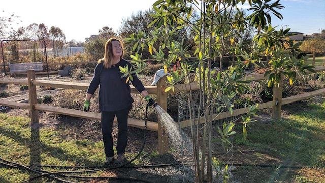 mills river pollinator garden