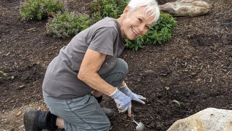 mills river pollinator garden