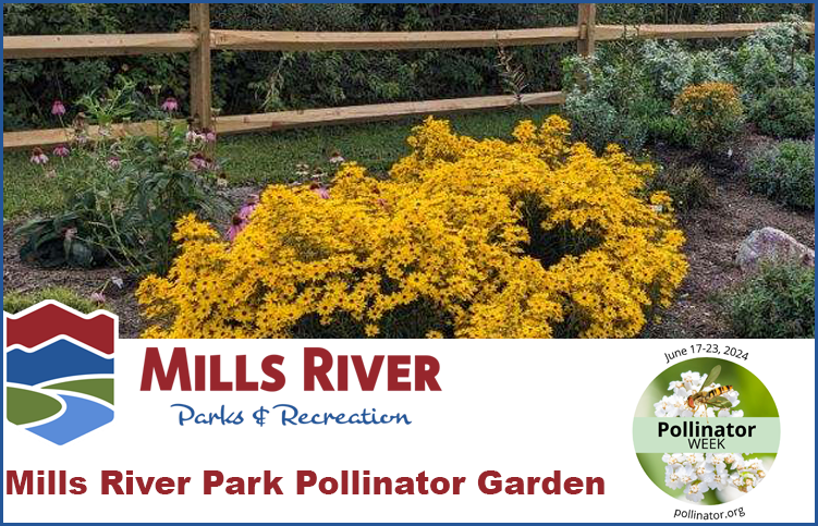 mills river poll gdn sign