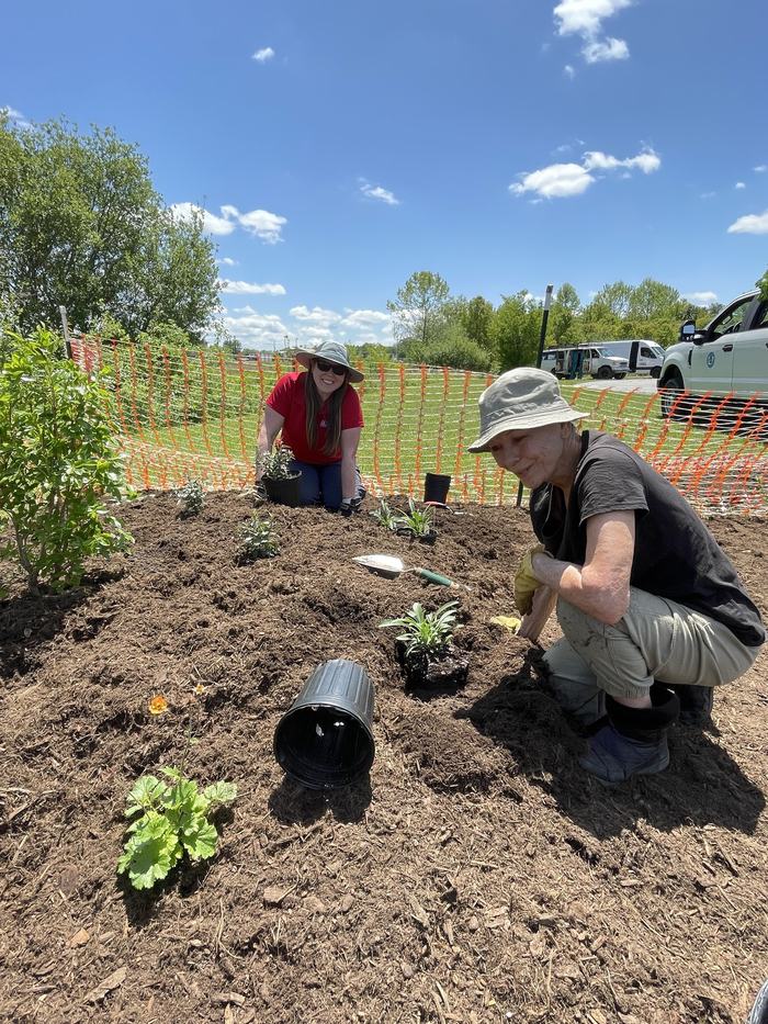 mills river pollinator garden