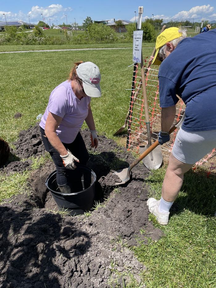 mills river pollinator garden