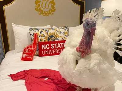 banner image