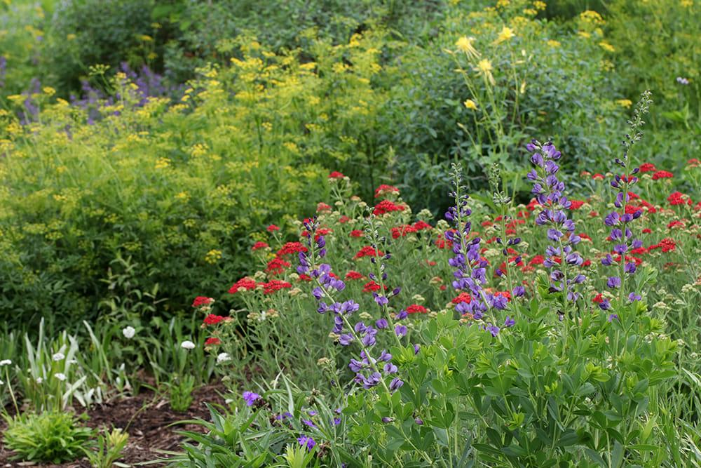 Spring view of sidewalk bed.