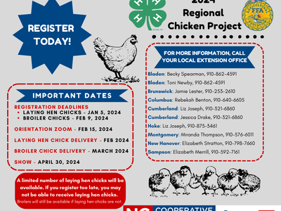 2024 Regional Chicken Project