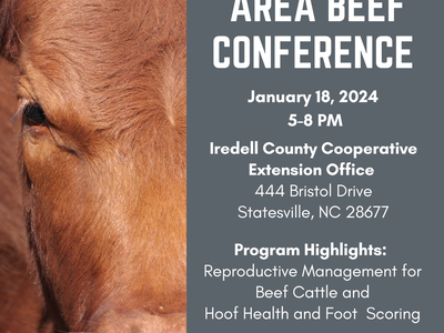 Brown cow close-up beside text: Area Beef Conference, Jan 18, 2024, 5–8 PM