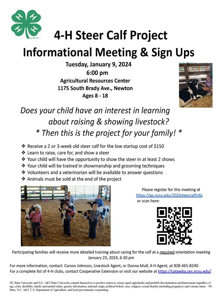 4-H Steer Calf Project flyer: informational meeting Jan 9, 2024, 6:00 pm, Newton