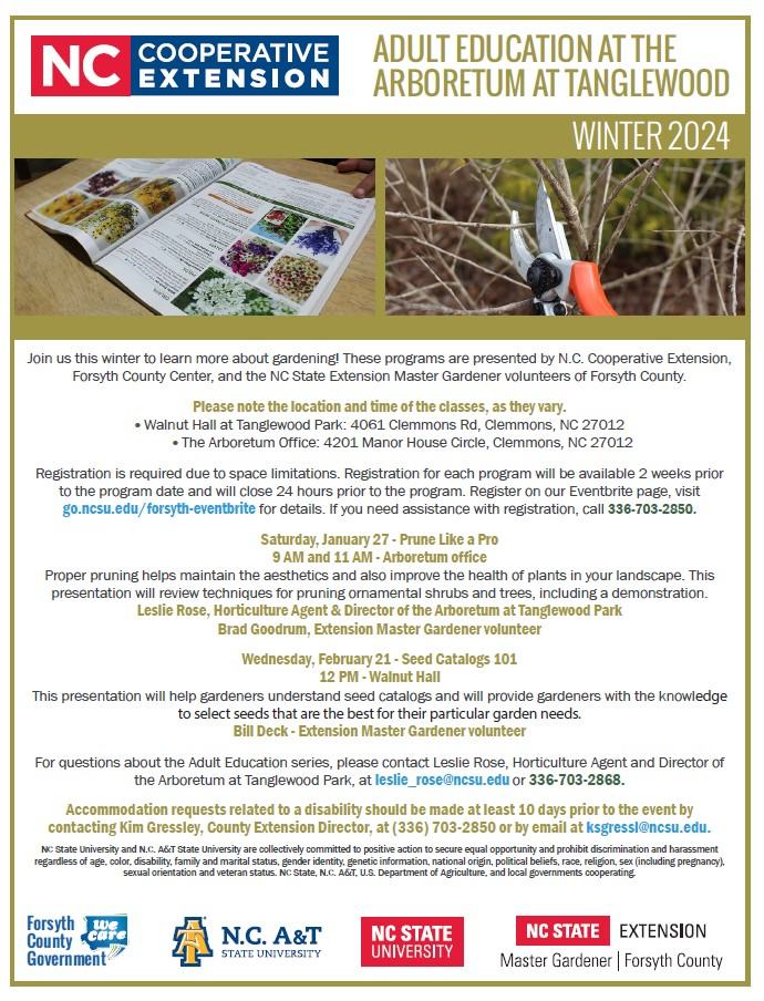 image of the 2024 winter Adult Education flyer