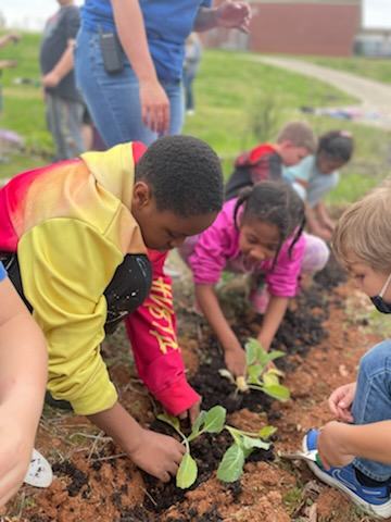 school kids planting a garden