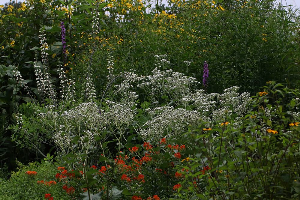 Spring bed.