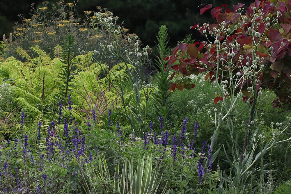 Spring bed.