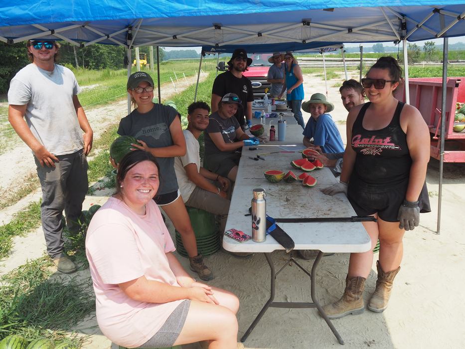 The team at the Horticultural Crops Research Station in Clinton, NC and Dr. Schulthies' research team taking quality measurements on watermelons. 