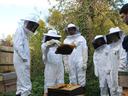 Beekeepers in protective suits inspecting a honeycomb frame over an open hive