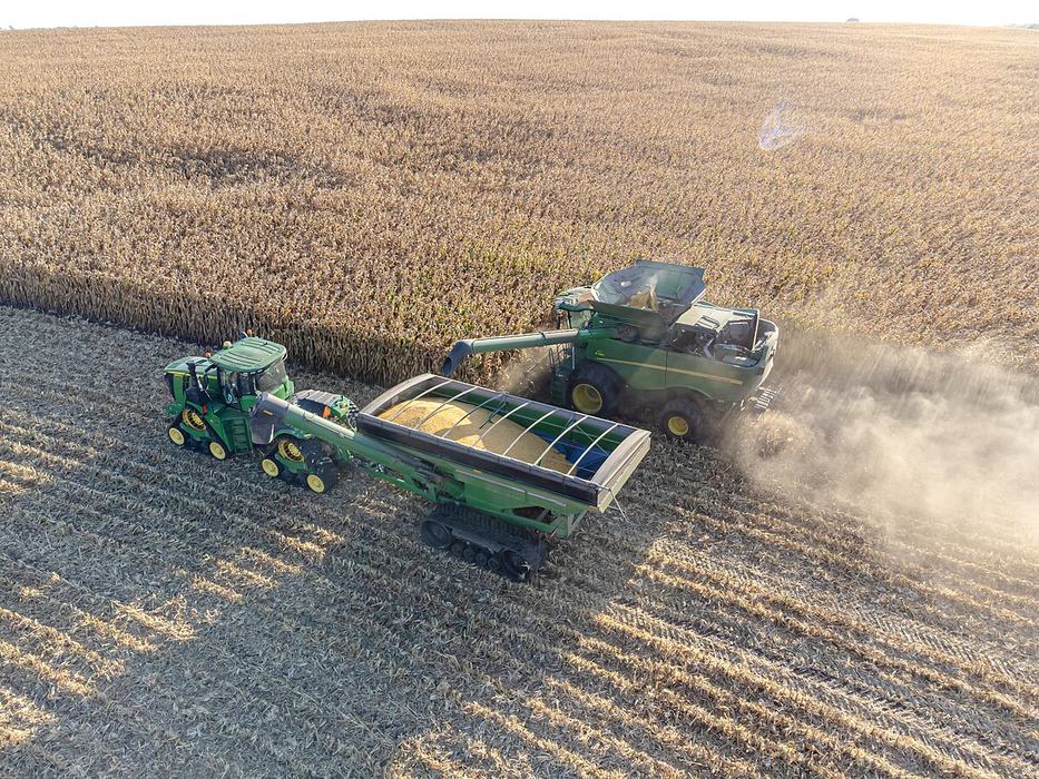 A harvester in a corn field.