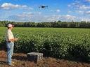 Farmer operating a drone over a crop field with a handheld controller