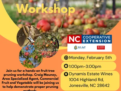 Fruit Tree Pruning Workshop