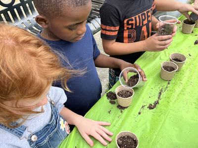 Garland library veggie seed