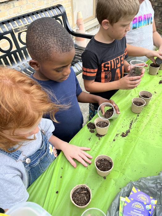Garland library veggie seed