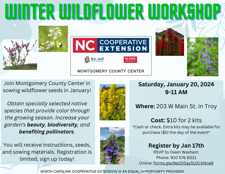 Winter Wildflower Workshop flyer — Jan 20, 2024, 9–11 AM; 203 W Main St, Troy; $10