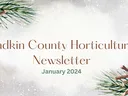 newsletter image