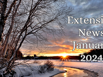 January 2024 Newsletter
