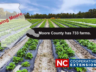 Knowing Moore