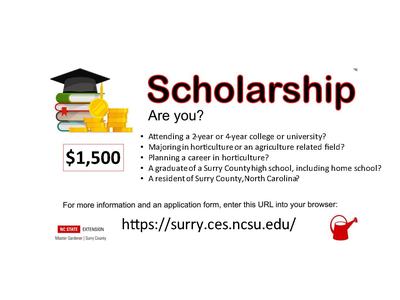 Scholarship flyer 2024_25