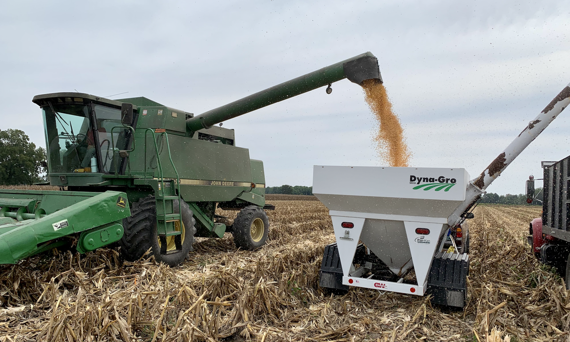 corn trial