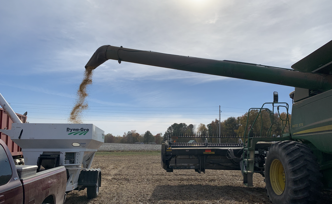 soybean in-furrow