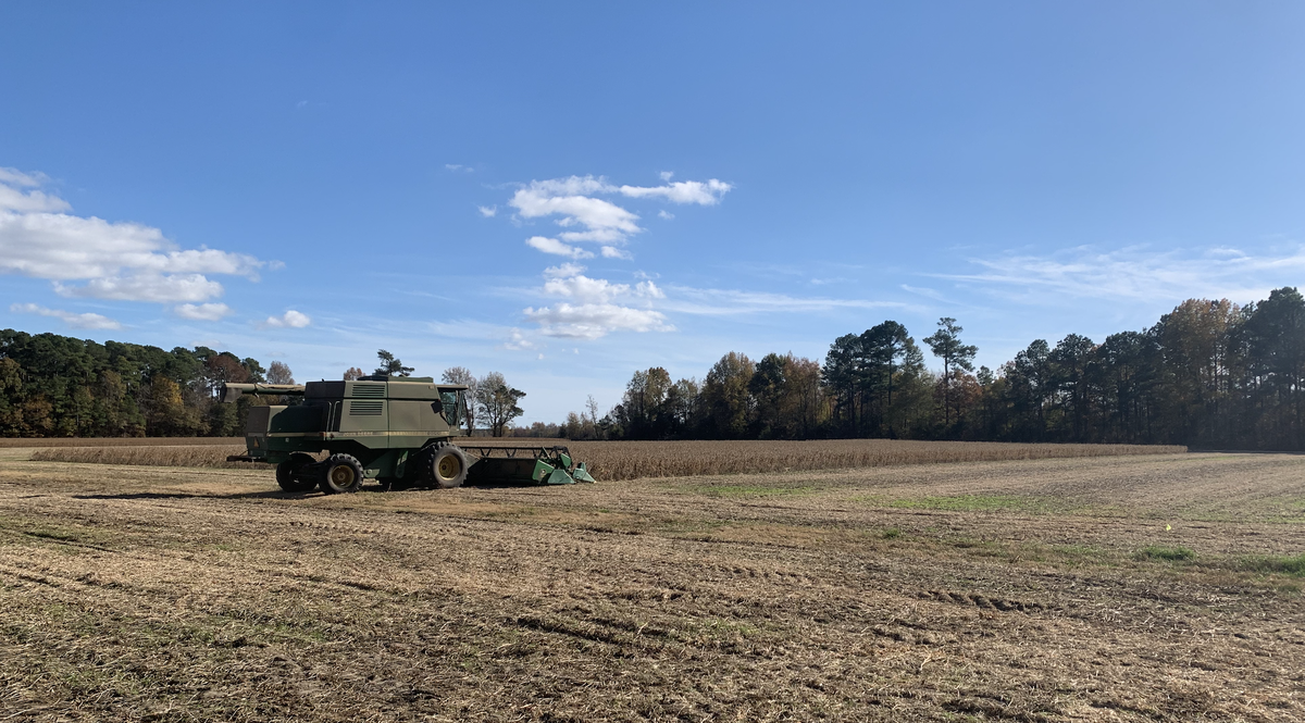 seeding rate