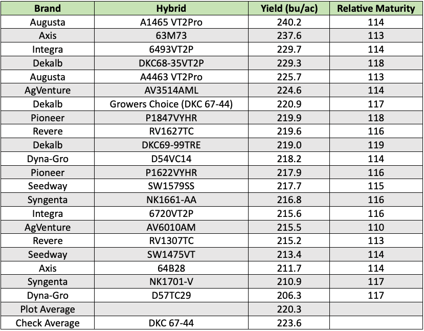 corn variety trial