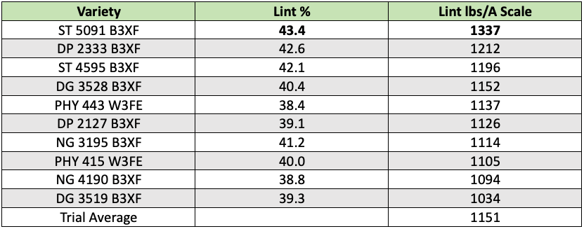 cotton variety trial