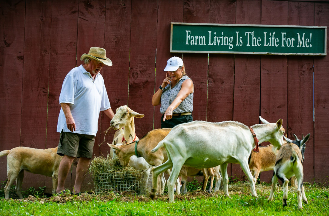 Family with goats 