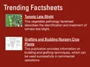 Screenshot of Trending Factsheets list including Tomato Late Blight and Grafting and Budding Nursery Crop Plants