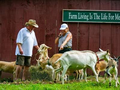 Family with goats 