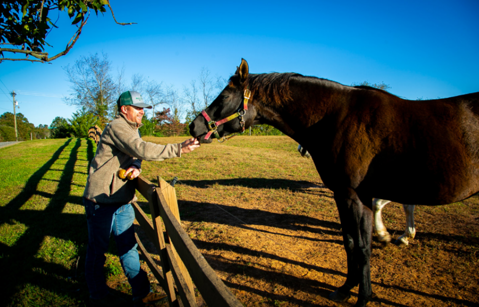 Man feeding a horse