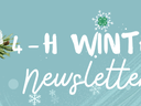4-H WINTER newsletter header with pine cones and evergreen branches on blue background