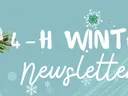 4-H WINTER newsletter header with pine cones and evergreen branches on blue background