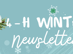 4-H WINTER newsletter header with pine cones and evergreen branches on blue background
