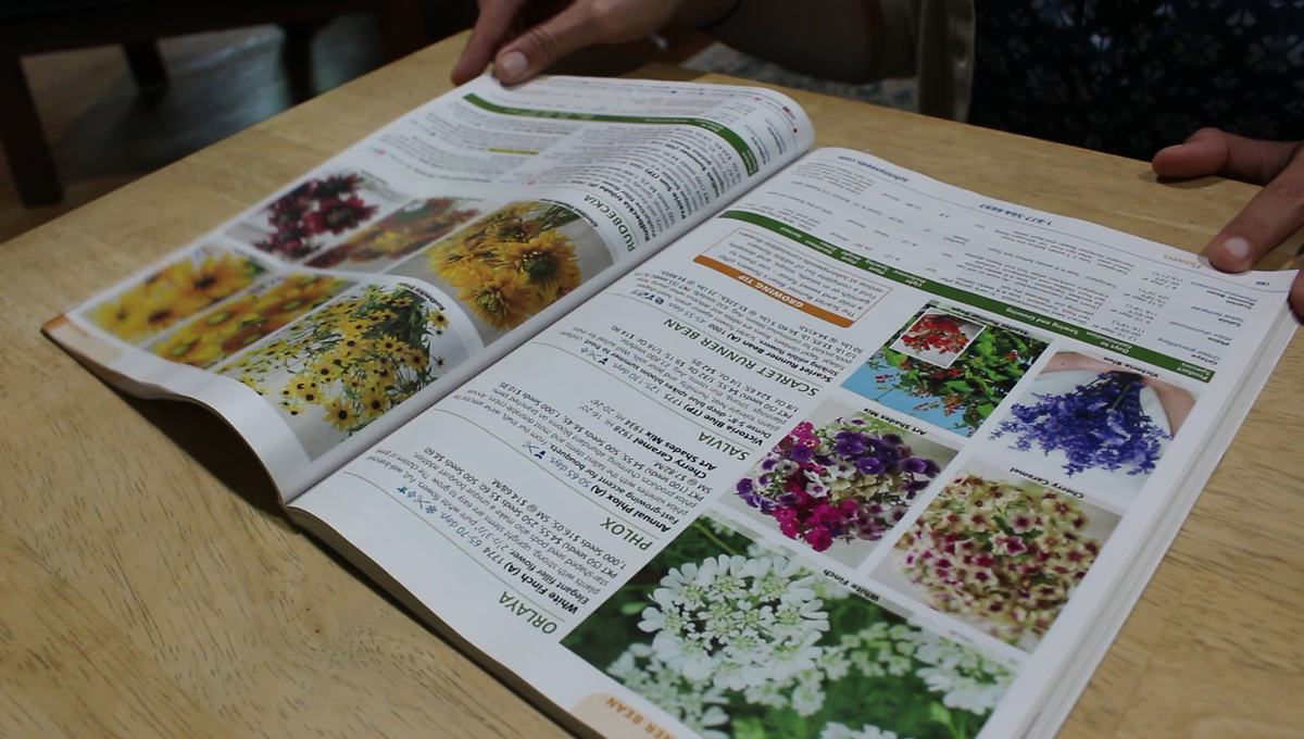 a seed catalog sits open on a table