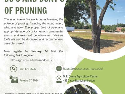 The Do’s and Dont’s of Pruning
