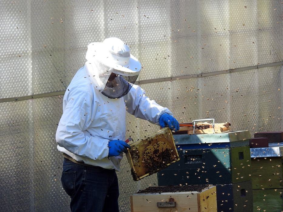 Beekeeper