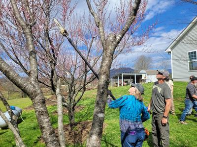 Pruning Workshop