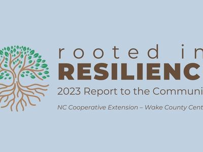 Tree with roots graphic and text: "rooted in RESILIENCE" and "2023 Report to the Community"