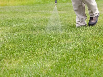 Person's lower legs and nozzle spraying liquid onto green lawn