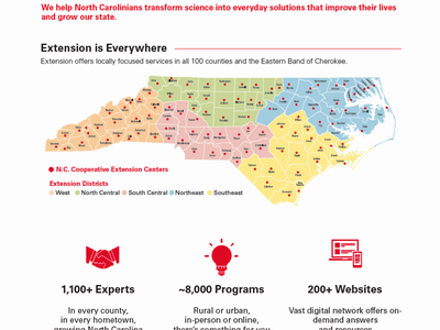 Franklin County We Grow Communities statistics list, programming areas list and spotlight stories flyer page 1