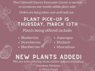 Mauve flyer with details about the plant sale