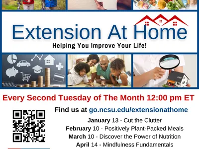 image has several photos: couple walking along with their bikes, family interacting, foods, image of a brain thinking. 